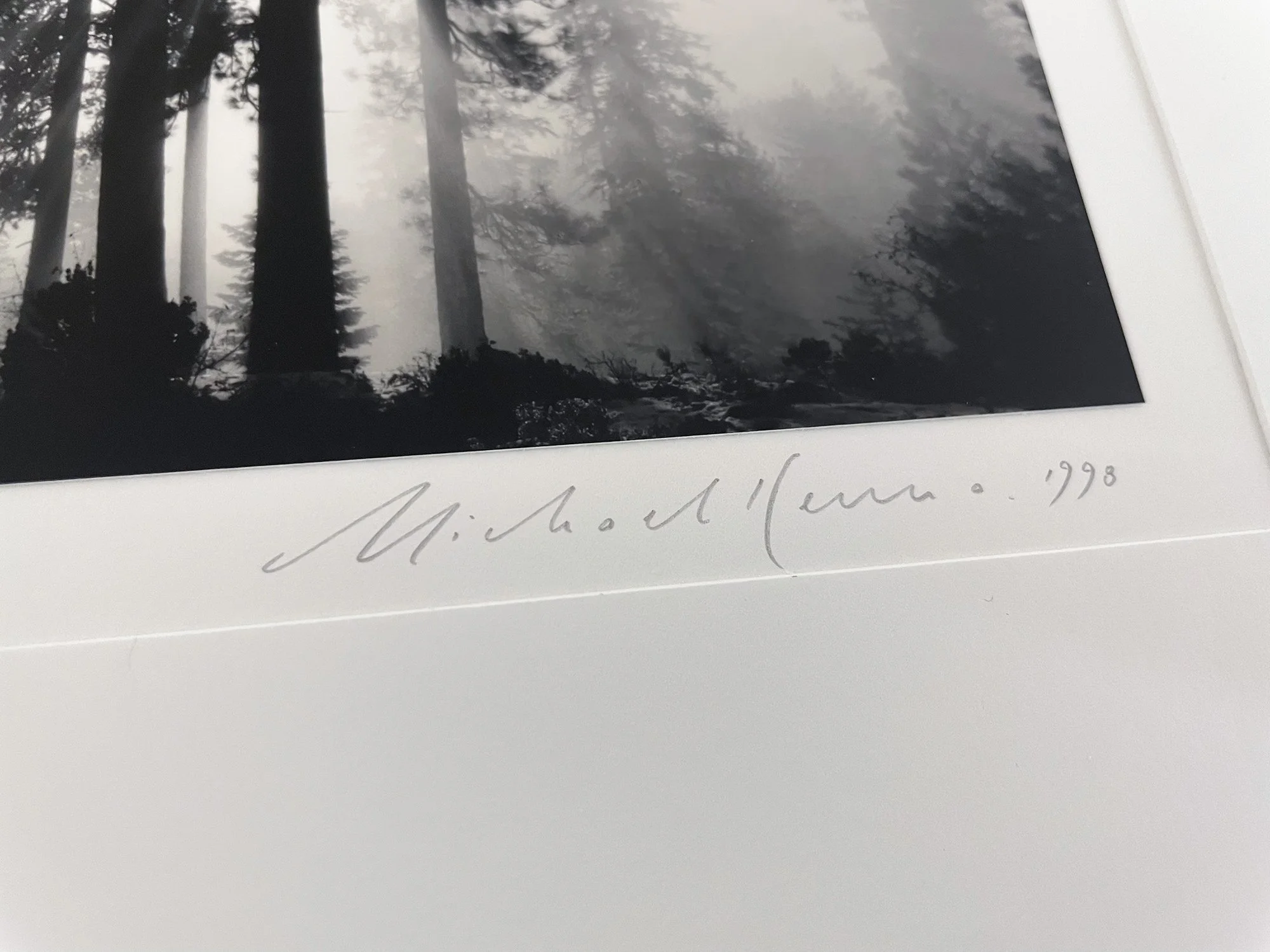 Michael Kenna: Avenue of Giants, Humbolt, California, USA, 1998